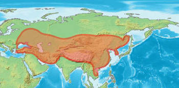 モンゴル帝国の最大版図