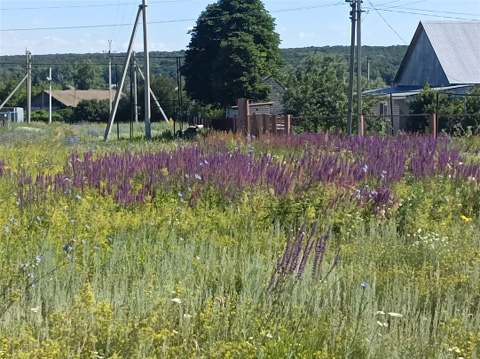 夏のロシア語日本語交流会